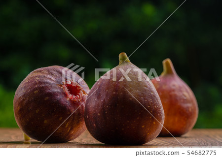 Fig flower Fig flower 54682775