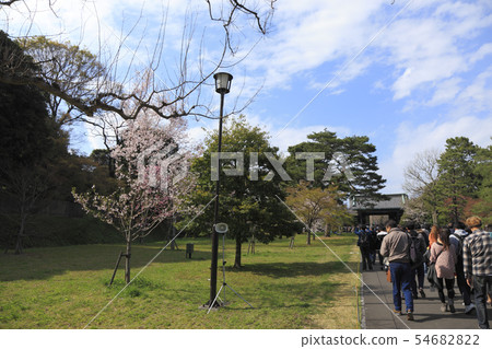 Imperial Palace, the dry gate, dry street, cherry blossoms Imperial Palace, the dry gate, dry street, cherry blossoms 54682822