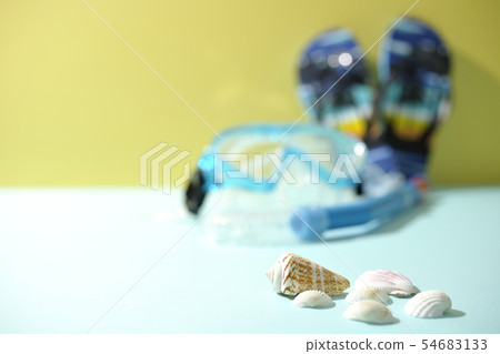 Seashepicking 54683133