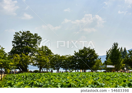 Yangsuri seminar and a couple of summer Yangsuri seminar and a couple of summer 54683398