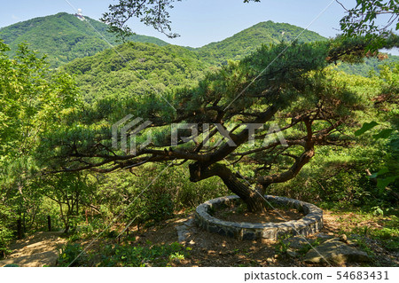 探索Ye-Bin-san的雲海和日出 54683431