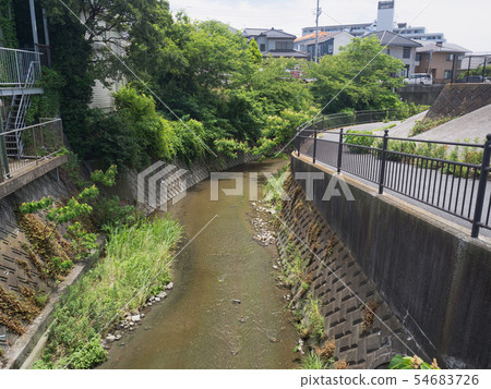 Kanagawa Prefecture Nobigawa 54683726