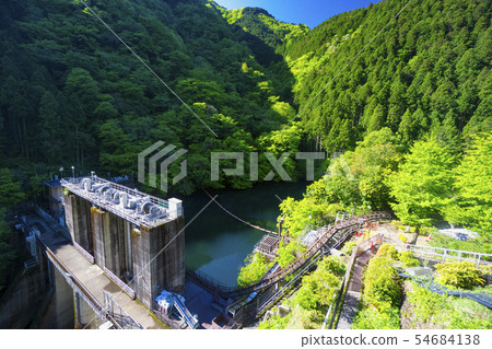 Fresh green white circle dam 54684138