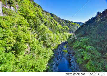 A view from the fresh green Shiramaru Dam 54684139