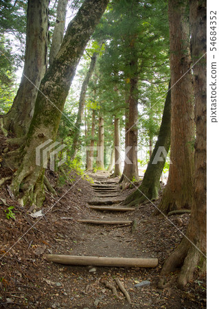 Narai hotel Nakayama road Suginamiki 54684352