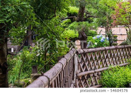 Japanese culture Fresh green ground temple image 54684576