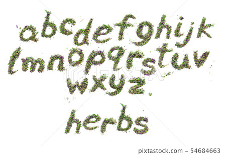 Green herbs english alphabet Herbal tea from dried 54684663