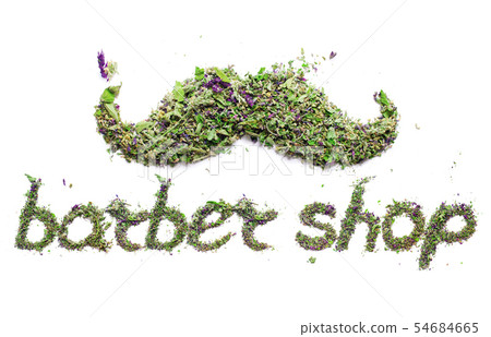 Green mustache from dried up herb sage and melissa Green mustache from dried up herb sage and melissa 54684665