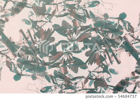 Natural geometrical decor art palm Pattern Toned 54684737