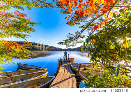 Autumn white pond in the morning sunrise [Nagano Prefecture] 54685548