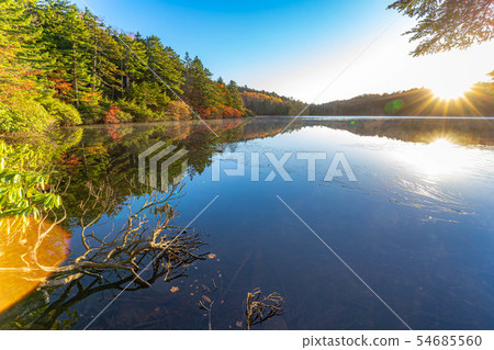 早晨日出的秋天白色池塘[長野縣] 54685560