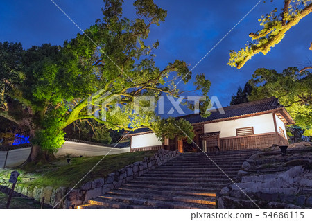 The lit-up Shoren-in Mon ruins Nagayamon The lit-up Shoren-in Mon ruins Nagayamon 54686115