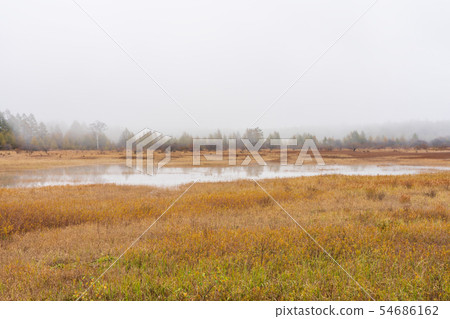 Nikko，Tochigi Oku Nikko Odadaihara（十月） 54686162