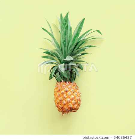 Pine Apple Tropical Fruit Pink Background Useful 54686427