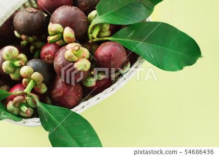 Mangostin with Leaves Tropical Fruits on Yellow 54686436