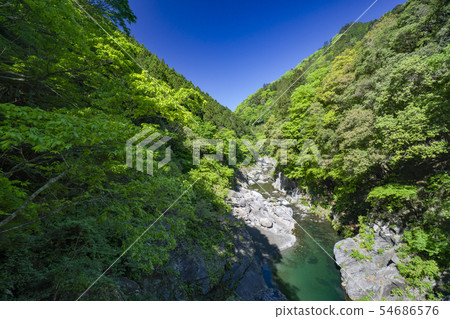 Fresh green Hachinosu Valley Landscape from the Hachinosu small bridge upstream Fresh green Hachinosu Valley Landscape from the Hachinosu small bridge upstream 54686576