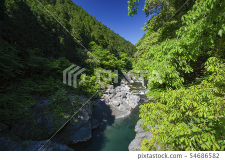 Fresh green Hachinosu Valley Landscape from the Hachinosu small bridge upstream Fresh green Hachinosu Valley Landscape from the Hachinosu small bridge upstream 54686582
