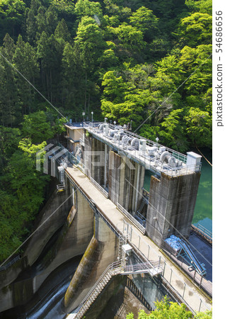 Fresh green white circle dam Fresh green white circle dam 54686656