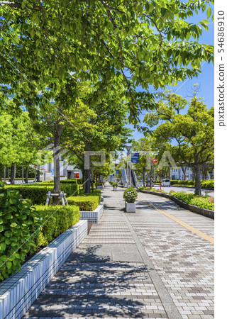 Makuhari新城大道的大道 54686910