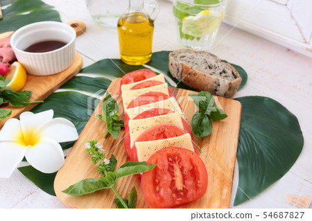 表植物圖像 54687827