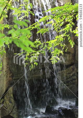 Waterfall and fresh green Waterfall and fresh green 54688133