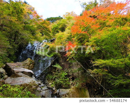 美麗的秋天風景箱根Hiryu瀑布秋天葉子秋天清楚 美麗的秋天風景箱根Hiryu瀑布秋天葉子秋天清楚 54688174
