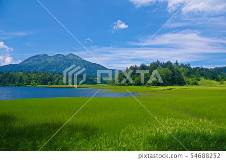 I want to see Mt. Ashigatake from Osenuma I want to see Mt. Ashigatake from Osenuma 54688252