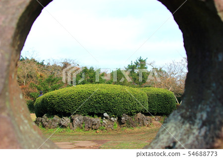 Bosarim，森林，長廊，植物殺菌劑， 54688773