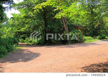Forest roads, forests, trails, forests, Forest roads, forests, trails, forests, 54690024