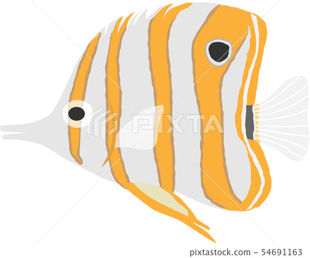 Hassinaga蝴蝶 Hassinaga蝴蝶 54691163