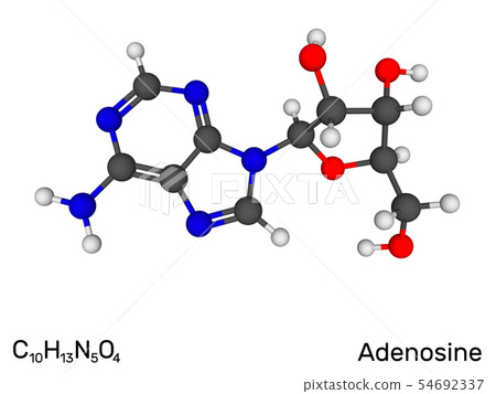 Adenosine, nucleoside, neurotransmitter model Adenosine, nucleoside, neurotransmitter model 54692337