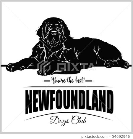 Jack Russell Terrier - vector illustration for t-shirt, logo and template badges Jack Russell Terrier - vector illustration for t-shirt, logo and template badges 54692946