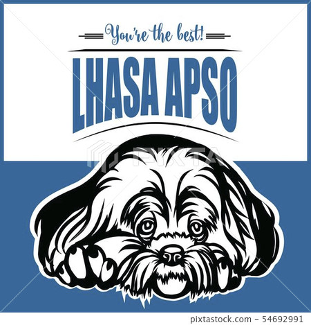 Lhasa Apso - vector illustration for t-shirt, logo and template badges Lhasa Apso - vector illustration for t-shirt, logo and template badges 54692991