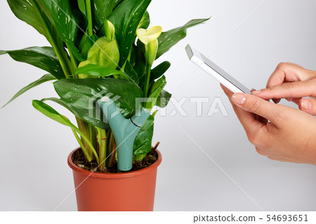 The measurement of soil moisture and fertilizer 54693651