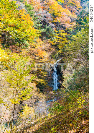 [Yamanashi Prefecture] Nishizawa Valley 54694254
