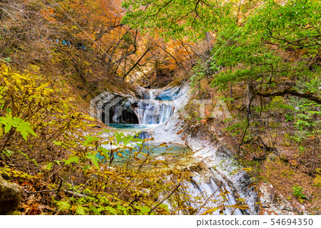 [Yamanashi Prefecture] Nishizawa Valley 54694350