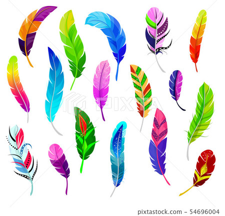 Feather vector fluffy feathering quil and colorful feathery birds plume illustration set of color 54696004