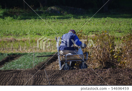 Aging of agriculture Aging society and agriculture Aging of agriculture Aging society and agriculture 54696459