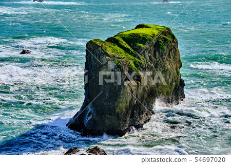 USA Pacific coast landscape, Oregon 54697020