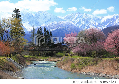 Cherry blossoms in Oide Park Cherry blossoms in Oide Park 54697124