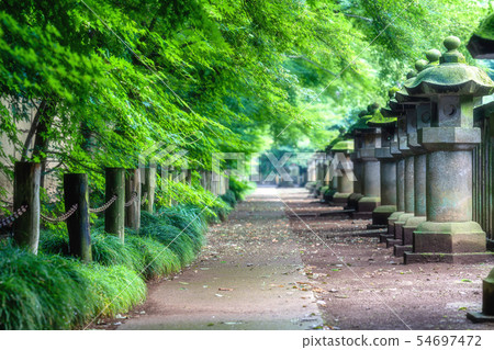 埼玉初夏Hirabayashi(Ishikushi) 埼玉初夏Hirabayashi(Ishikushi) 54697472