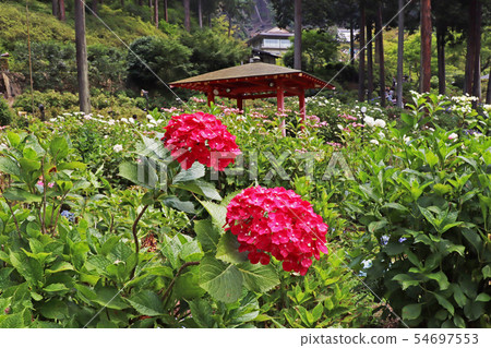 Mimuroto Temple Mimuroto Temple 54697553