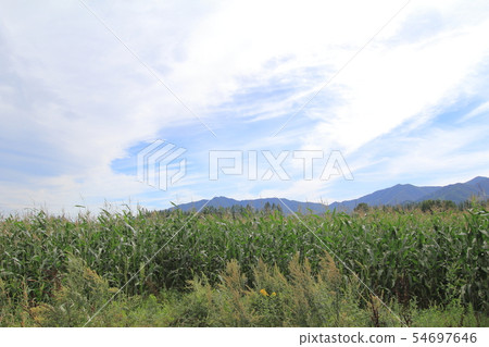 Travel to Hokkaido by rental car Tokachi Travel to Hokkaido by rental car Tokachi 54697646