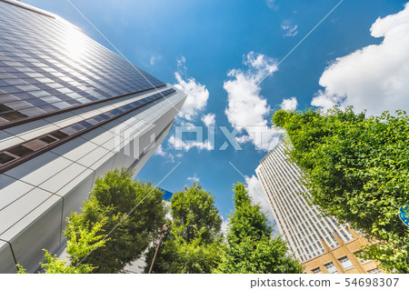 Fresh green and urban buildings Fresh green and urban buildings 54698307