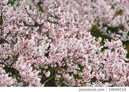 Town view Tokyo Marunouchi Town view Tokyo Marunouchi 54699338