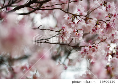 Town view Tokyo Marunouchi Town view Tokyo Marunouchi 54699339