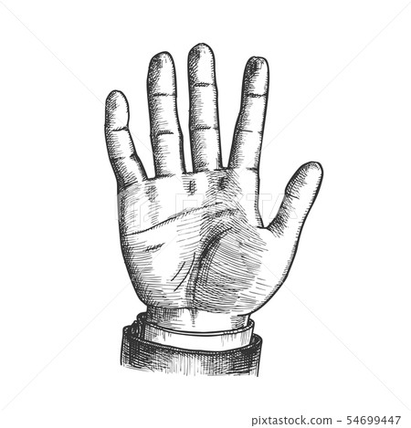 Male Hand Make Gesture Five Fingers Up Vector 54699447