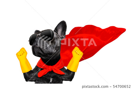 super hero dog super hero dog 54700652