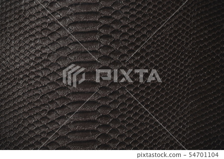 Crocodile leather texture 54701104