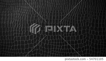 Crocodile leather texture 54701105